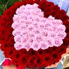 nina_budash