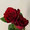 user13616141486732