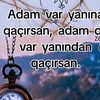 user2228148727666