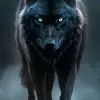 whitewolfandgraywolfaaaa