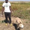 user6816351571981