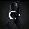 dilber_gnaydin