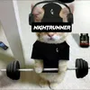 nightrunner5482