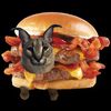 thebaconnader9000