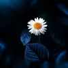 the_natural46