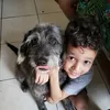 miguel.feltrim