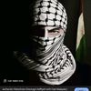 hashimhashim8912