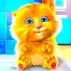 what.is.ginger