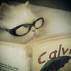 gaovs_bs