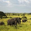 tanzanialodgeandsafaris