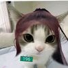shenwanen