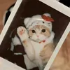 muadongtokyo_80