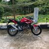 cb_kalong2