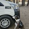 memphis_mochi