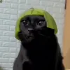 suikaman_22