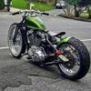 fishbone828292