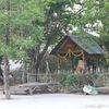 user517233592481thailand