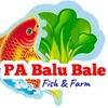 pabalubale7