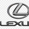 stvieraylex