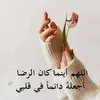 user80788023503934