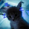 yuilove_uwu6792