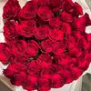 user6801951810627
