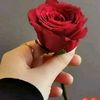 user4310159847071