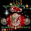 mahmut1372