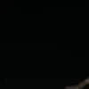 koller_02