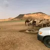 benzem__a