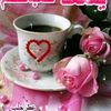 sohaf15