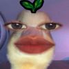 affrdtlilmyyyy
