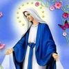 user8408661660686