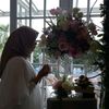 diniati_aqi