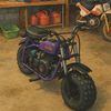 veloce50