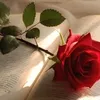 trm.anh.hoang13