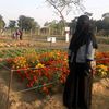 queen_souneya