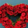 user8421350209247