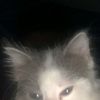 user8539496067838