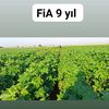 FİA TARIM