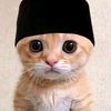 anda.yakin