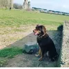gabrieleiffel90