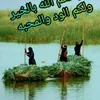 abushahin076