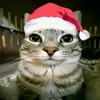 itz_amazonik