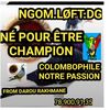tiatou.baribagage.814