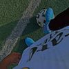 itss_wail_2009