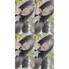 exhateme_08