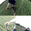sabill135