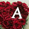 adeelhassan1313