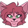 danikacattv